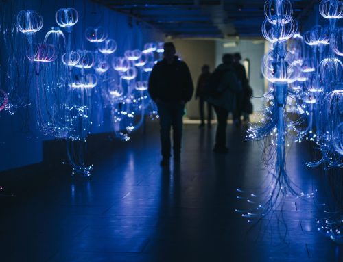 PUP-ovci na konferenciji „Učiniti nevidljivo vidljivim“